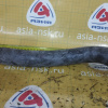 Патрубок  радиатора Nissan 21503WA210 Avenir W11 SR20 L н F низ.