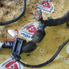 Коса ДВС Nissan QG15 Sunny FB15-115590 2WD a/t ДЕФЕКТ лямбда зонт на 3 конт. мех. заслонка, мех егр без датчика 240119M502 / 240119M50B