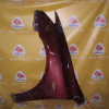 Крыло Lexus ES350 GSV40 '2006-2012 перед, лев Дефект (после ремонта) 53812-33200
