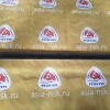 Накладка на дверь Toyota Raum EXZ10 R F
