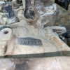 МКПП Hyundai/Kia G4FG 1.6L 6MT M6CF1 BM90CB