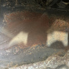 Двигатель Hyundai Santa Fe D4EA-6066798 2.0L CRDi VGT Euro 3 AT С НАВЕСНЫМ SM/BB '2006