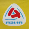 Крыло Hyundai H1/Grand Starex TQ '2007- перед, прав под повторитель, белое, вмятины