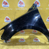 Крыло Hyundai Santa Fe CM/BM перед, лев чёрное, вмятины, царапины
