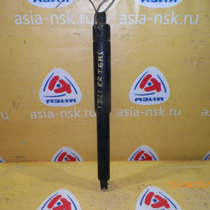 Амортизатор NISSAN YD21 R TEMS