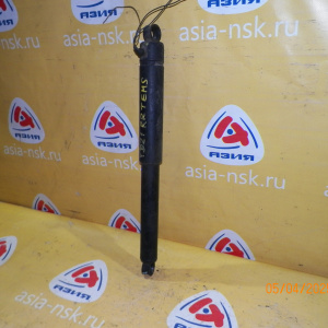 Амортизатор NISSAN YD21 R TEMS