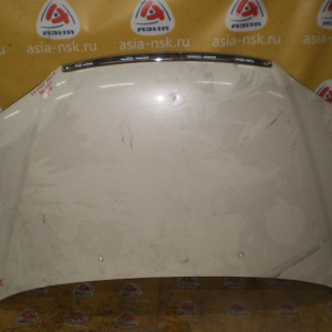 Капот HONDA Odyssey RA6 Дефект