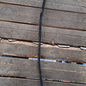 Стабилизатор Toyota ZZV50 Vista R