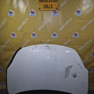 Капот NISSAN Wingroad/AD Y12