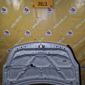 Капот NISSAN Wingroad/AD Y12