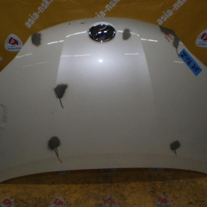 Капот TOYOTA Wish ZGE20