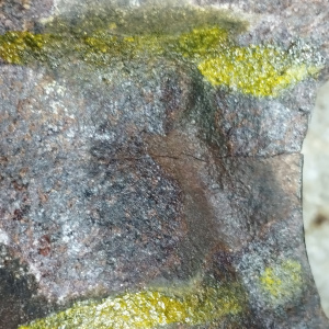 Коллектор выпускной Suzuki G16A Escudo/Vitara TA01W 3 шп. ДЕФЕКТ. ТРЕЩИНА  чугун 2 отверстия ( отверстие под датчик сзади )