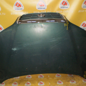 Капот TOYOTA Ipsum SXM10 '1996-2001 дефект(решётка сломана)