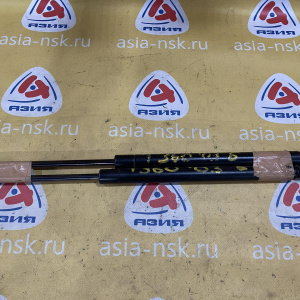 Амортизатор задней двери Chevrolet TrailBlazer GMT360/KC '2002 пара 15079253 15079252