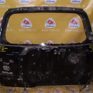 Дверь задняя Toyota RAV4 ACA30 под запаску  Дефект (голая) Без стекла Под спойлер