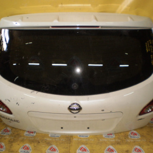 Дверь задняя Nissan Qashqai/Dualis J10 '2006-2010 вст.05091 (спойлер) камера Дефект L вставки