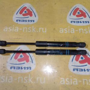 Амортизатор капота BMW 3-Series F30 '2013 пара 51237239233