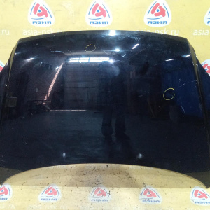 Капот KIA Sportage KM/JE/FQ '2004-2010 вмятинки 664001F010
