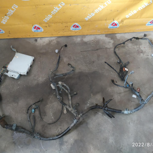 Коса ДВС Toyota 5S-FE Harrier SXU15 4WD a/t RHD + компьютер 89661-48020/9717530-116-3 (DENSO) 82121-48020