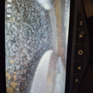 Двигатель Mitsubishi 6G72-BB1197 SOHC КАТУШЕЧНЫЙ фильтр с лева Challenger/Pajero/Delica V44/PD6W/K99 '1997-