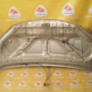 Капот Nissan NV200 VM20 Дефект F510MJX0MA