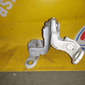 Петли на дверь Toyota Corona ST170 зад, прав (пара)