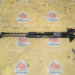 Амортизатор задней двери TOYOTA Land Cruiser URJ200 (пара) 68960-0WE01