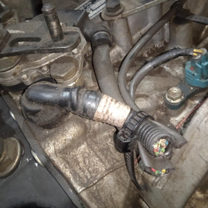 АКПП Volvo XC70 B5244T3 4WD 5AT 55-50SN без раздатки (обрезана фишки) 9480897, 8251617 SW/SZ '2000