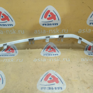 Планка под фару SsangYong Kyron DJ/D100 L 8310109150