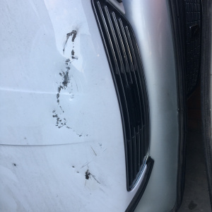 Капот Toyota Carina ED ST202 с решеткой (брак) ф.20-335