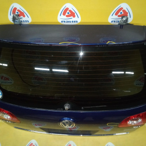 Дверь задняя Volkswagen Passat B6/3C5 '2007 в сборе (вмятины)