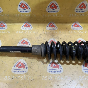 Стойка Mercedes W219/C219 CLS-Class M272E35 '2005 F 2WD L=R A2193200713, A2193231500