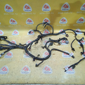 Коса ДВС Chevrolet LD9/Z24SED Captiva C100 '2010 2.4L 4WD 5AT LD (дефект, обрезана)