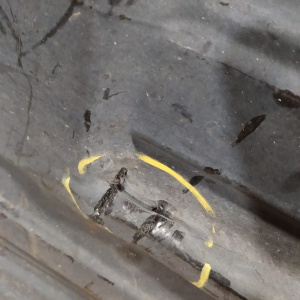 Подкрылок TOYOTA Altezza SXE10 перед, прав ДЕФЕКТ 53875-53010