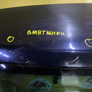 Дверь задняя Volkswagen Tiguan 5N1 '2011 LC9X 2.0 TSI 4motion в сборе, фонари до рест. (вмятинки) 5N0827025G