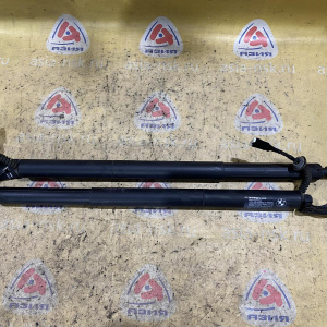 Амортизатор задней двери BMW 2-Series Gran Tourer F46 '2017 Пара, Автоматический привод багажной двери 51247365979