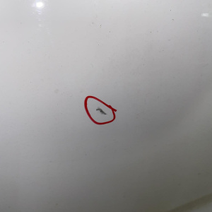 Дверь боковая BMW 2-Series Gran Tourer F46 '2017 перед, лев В сборе (тычки, царапины) 41517392311