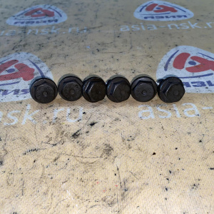 Болт маховика BMW 11227508666 3-Series E46 N42B20AB На коленвал 6шт,Комплект