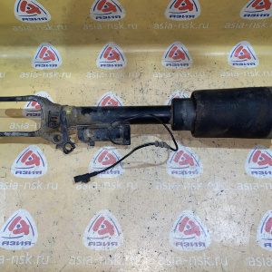 Стойка Mercedes W164 M-Class F L=R Continental