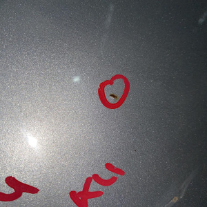 Крыло Hyundai i40 VF/DF '2011-2018 перед, лев вмятины, ржавчина