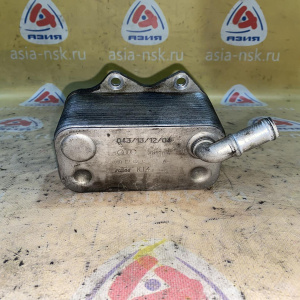Радиатор масляный Volkswagen 06D117021C Passat 1K1/1T1/B6/3C2 AXW/BLR/BLX/BVY