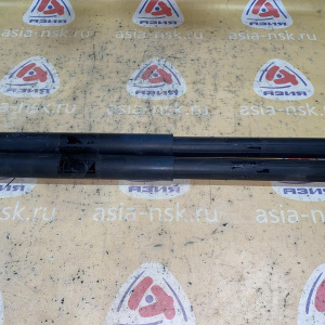 Амортизатор задней двери BMW X5 E70 '2007 пара 51247177283, 51247294199