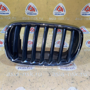 Решетка радиатора BMW X5 E70/E71 '2007 L чёрная 51137157687