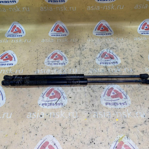 Амортизатор задней двери Cadillac SRX GMT265 '2007 пара 15872899