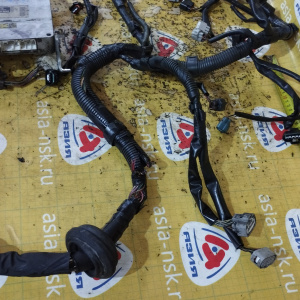 Коса ДВС Toyota 1NZ-FE Raum NCZ20 2WD a/t ДЕФЕКТ + компьютер 89661-46030 мех. заслонка ( акпп 9 конт. ) разъём компьютера в 4 ряда