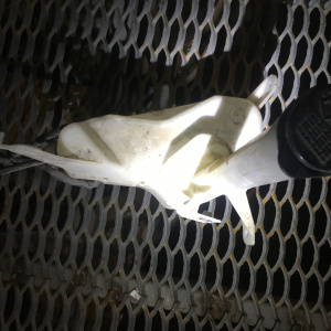 Бачок омывателя Toyota JZS160 Aristo 060351-920