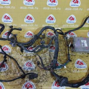 Коса ДВС Toyota 2NZ Funcargo NCP20 2WD a/t +  компьютер 89666-52130 разъём компьютера в 4 ряда 82121-52830