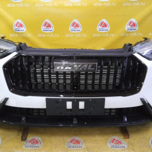 Ноускат Haval Jolion '2024 2-белый (1 рестайлинг)