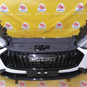 Ноускат Haval Jolion '2024 2-белый (1 рестайлинг)