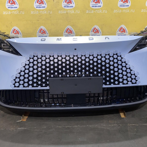 Ноускат Omoda C7